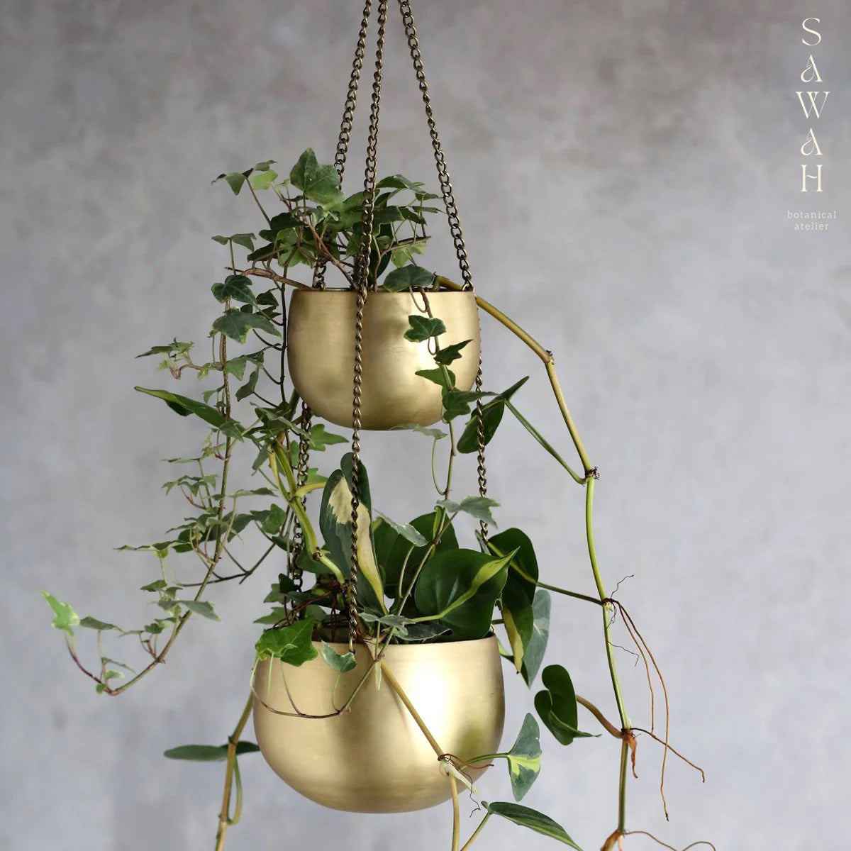 atsu brass hanging planter Double Tier Brass Hanging Planter – Sawah Botanical