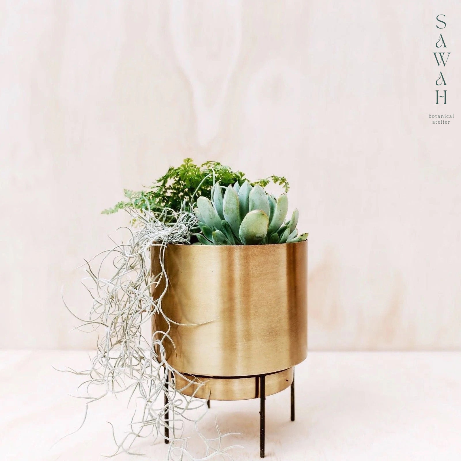 brass succulent planter *Test* Stand By Me Brass Gold Planter Decor