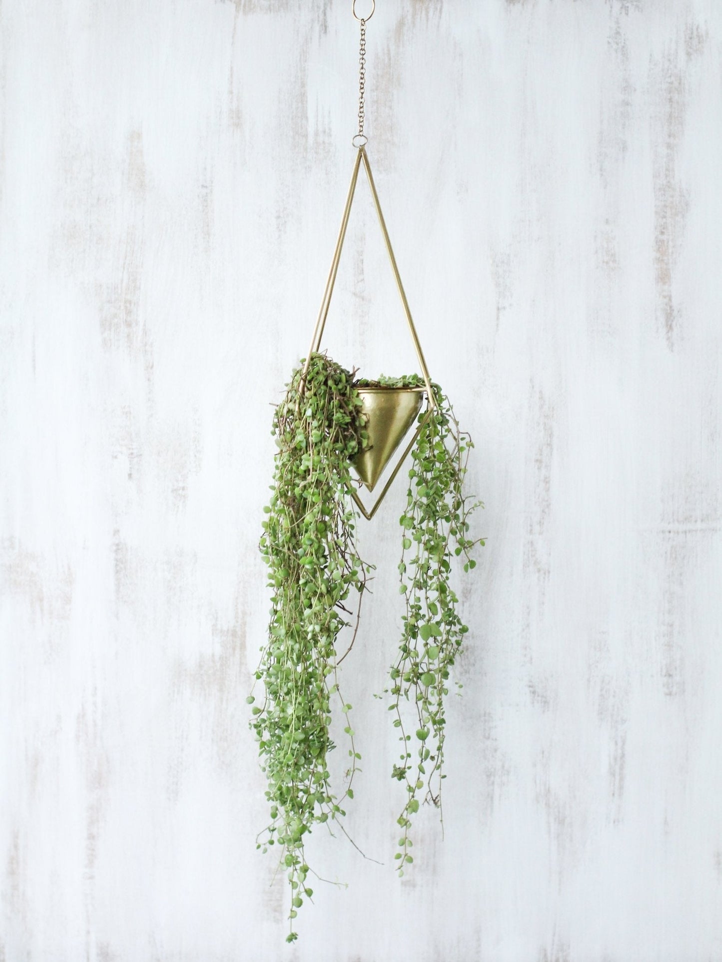 Celestial Diamond Brass Hanging Planter - Lustere Living