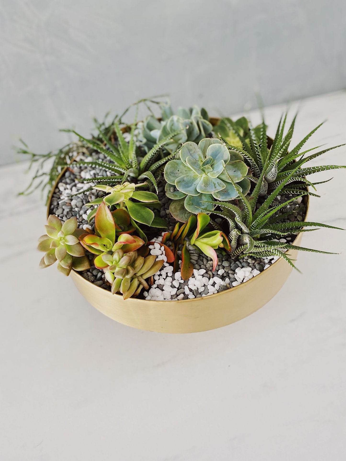 Rola Mid Century Shallow Cylinder Succulent Brass Bowl Vase - Lustere Living