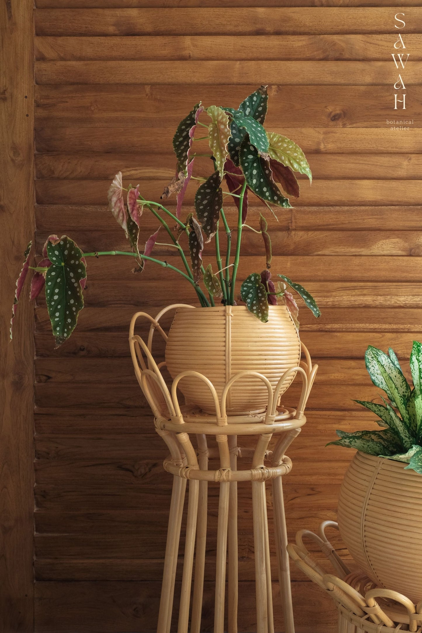 Uma Small Rattan Round Planter Natural Wicker Basket