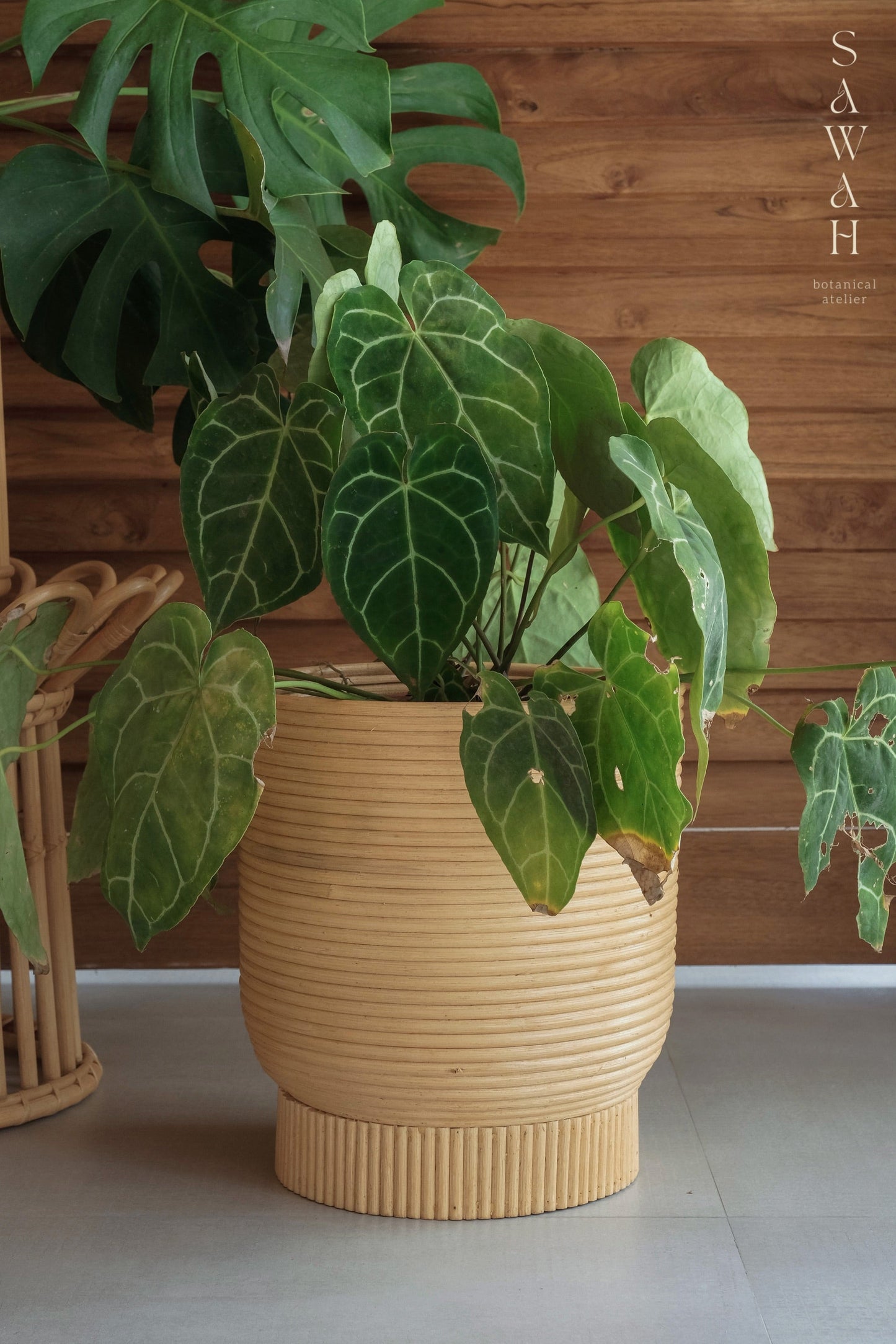 Alya Mid Century Medium Rattan Wicker Cane Planter