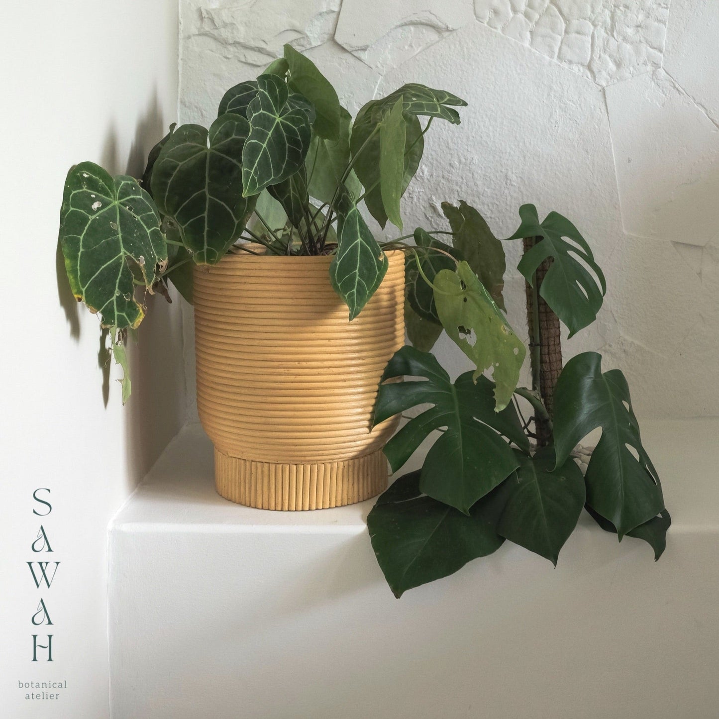 Alya Mid Century Medium Rattan Wicker Cane Planter