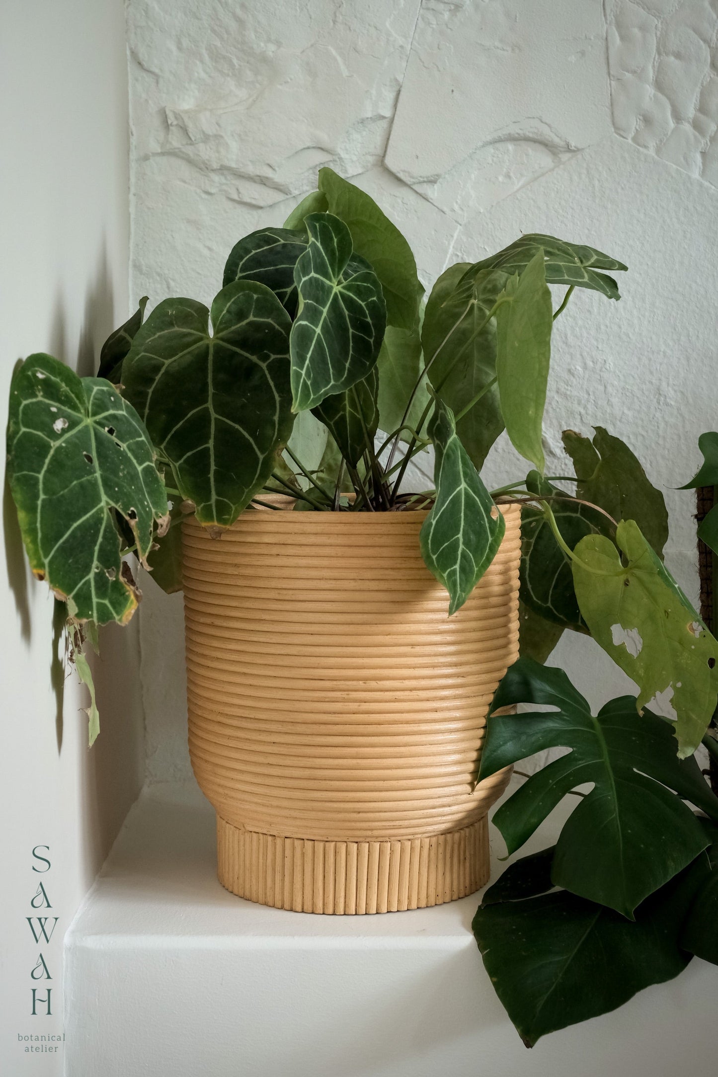 Alya Mid Century Medium Rattan Wicker Cane Planter