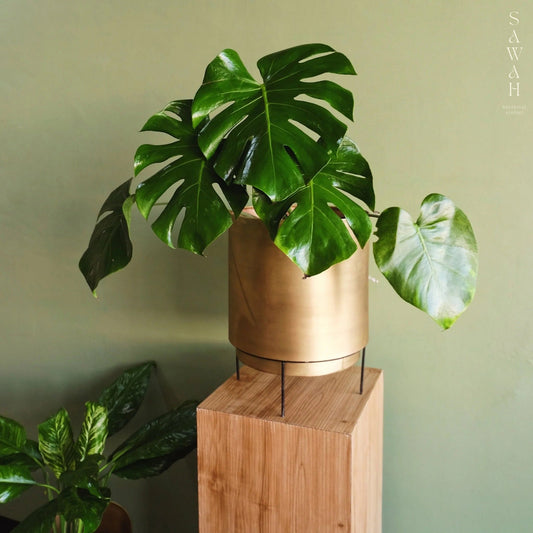 XL Handcrafted Polished Brass Round Floor Planter