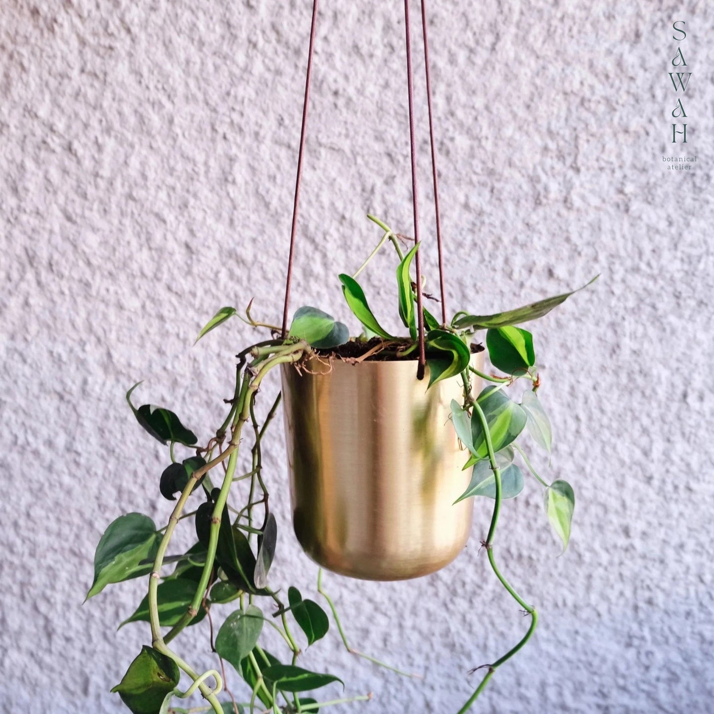 Capsule Gold Hanging Planter