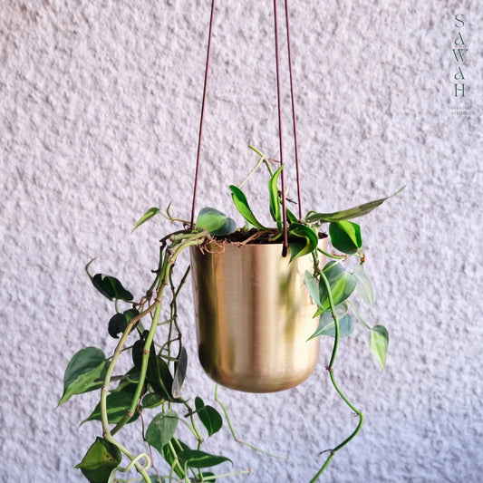 Capsule Gold Hanging Planter