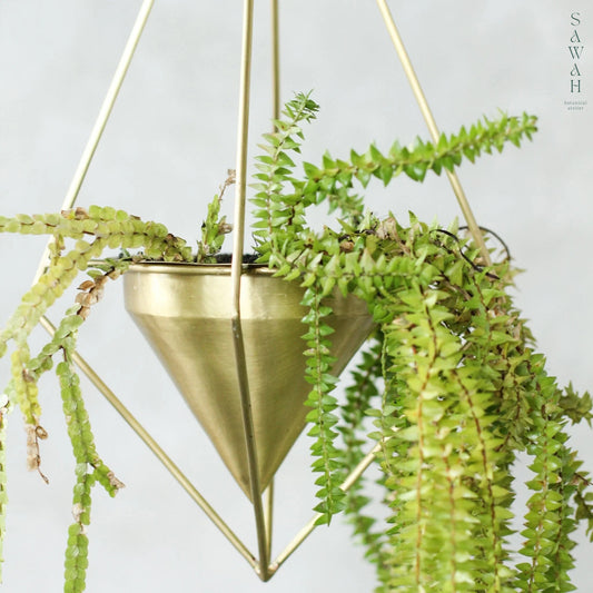 Celestial Diamond Brass Hanging Planter
