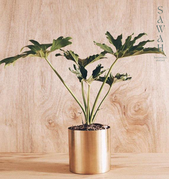 Large Handcrafted Polished Brass Round Table Planter