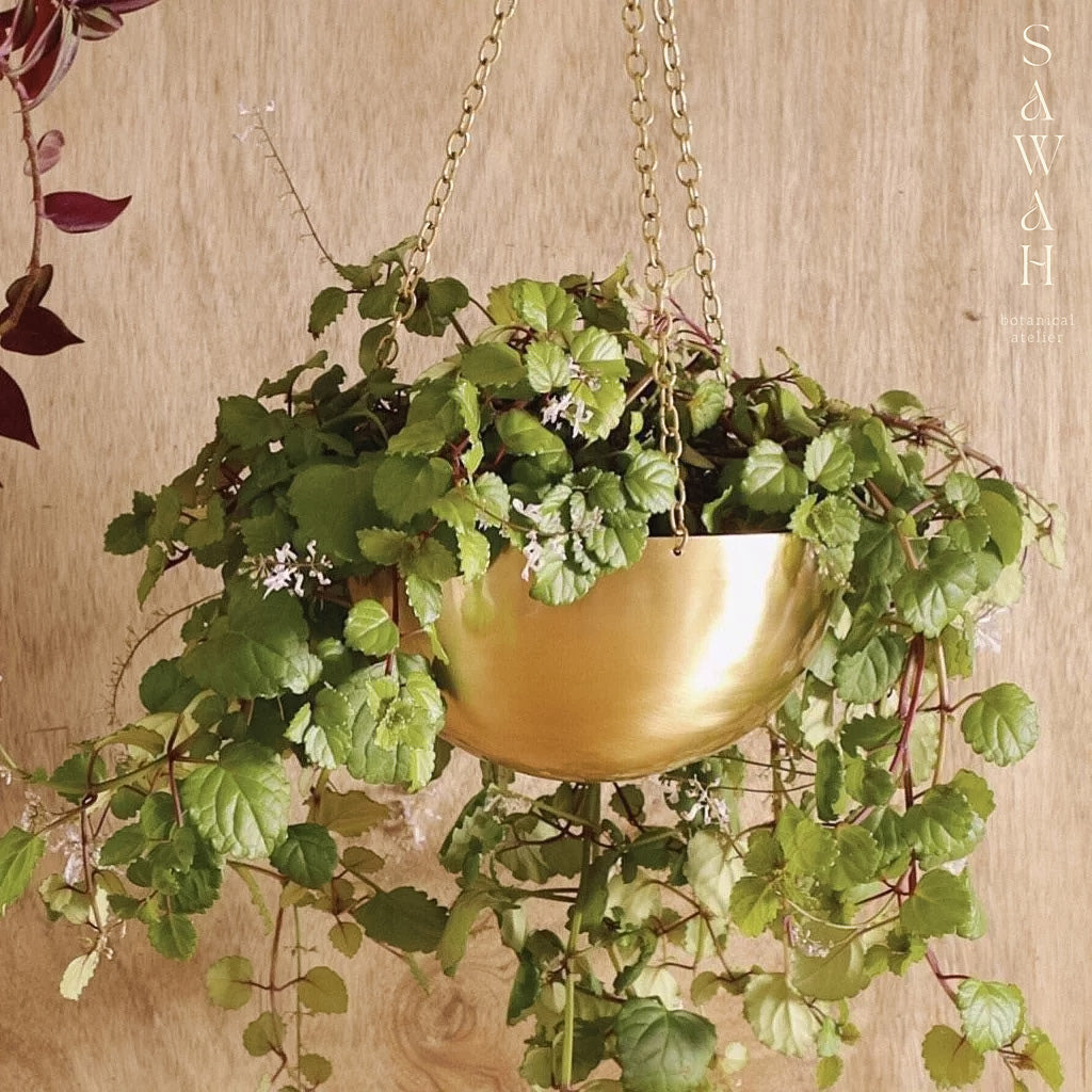 Large Gold Brass Hanging Planter