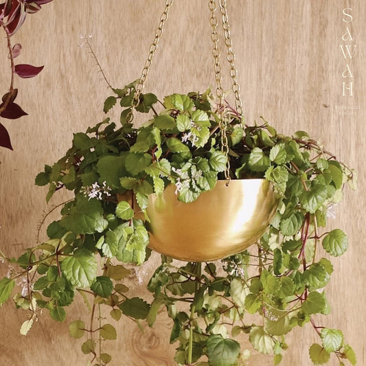 Large Gold Brass Hanging Planter