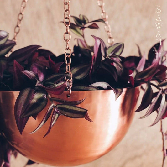 Large Copper Rose Gold Hanging Planter
