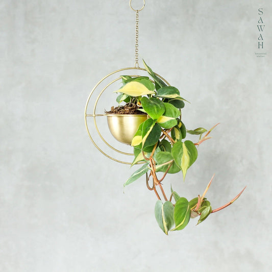 Celestial Round Brass Hanging Planter