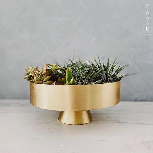 Rola Mid Century Shallow Cylinder Succulent Brass Bowl Vase
