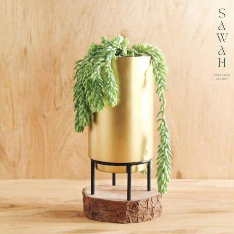 Oriel Tall Brass Gold Planter