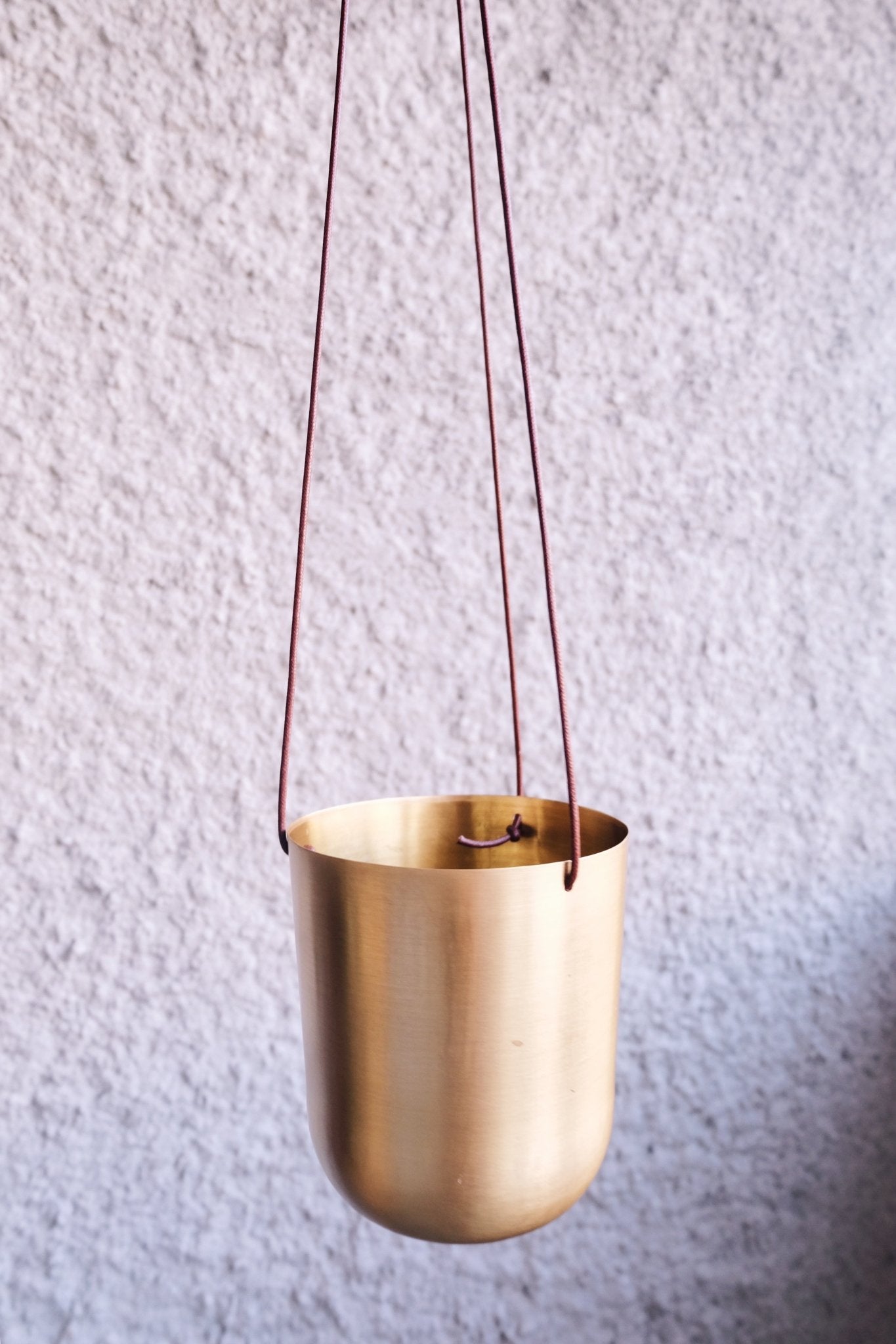 Capsule Gold Hanging Planter - Lustere Living