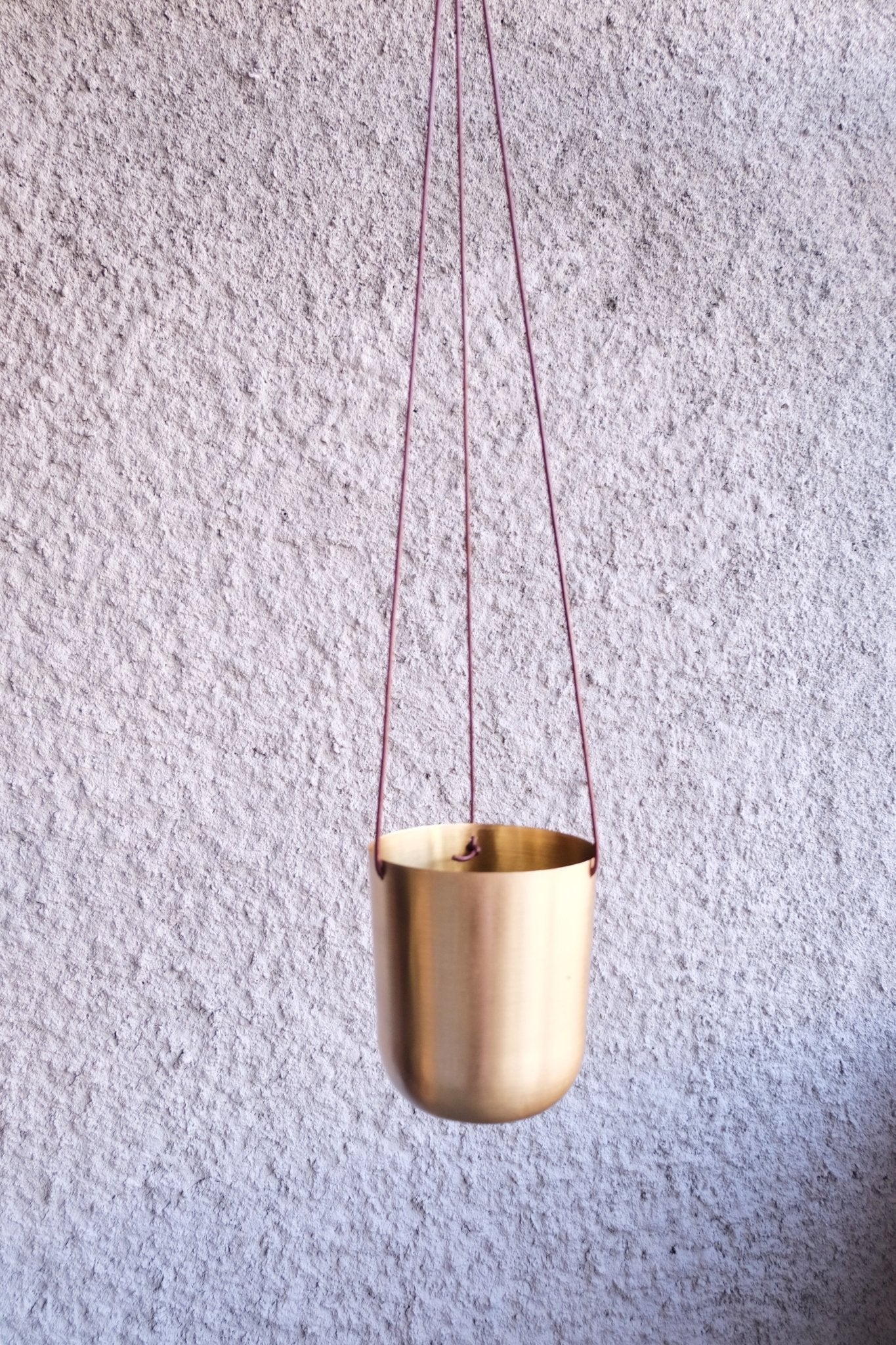 Capsule Gold Hanging Planter - Lustere Living