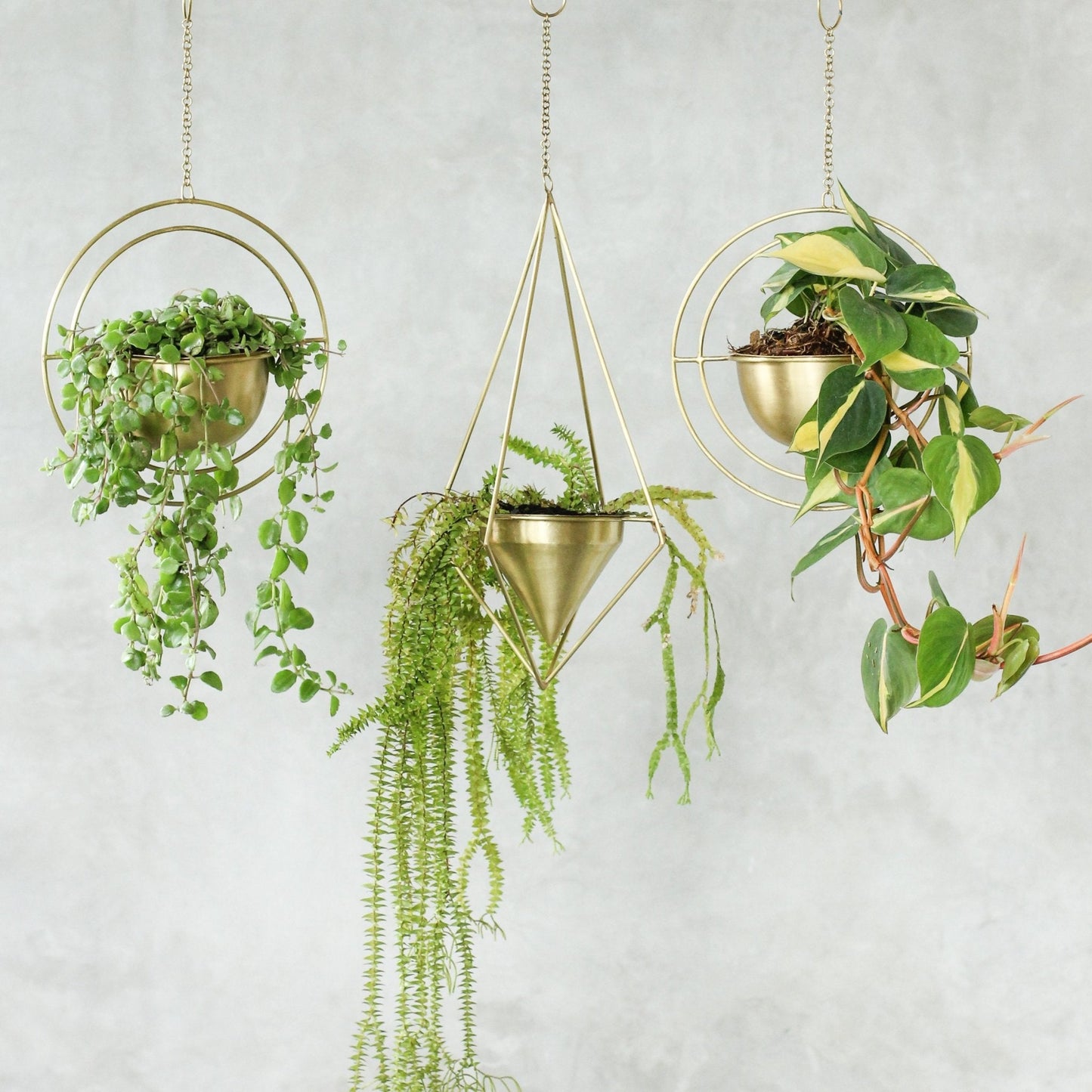Celestial Round Brass Hanging Planter - Lustere Living