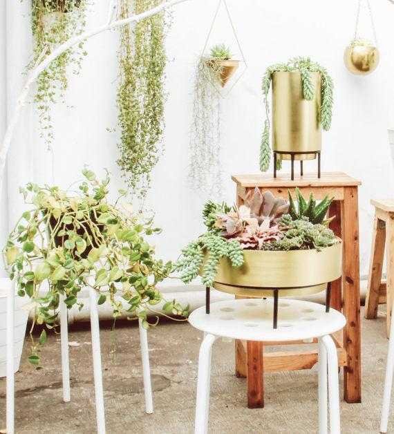 Jadore Gold Brass Planter Succulent Bowl - Lustere Living