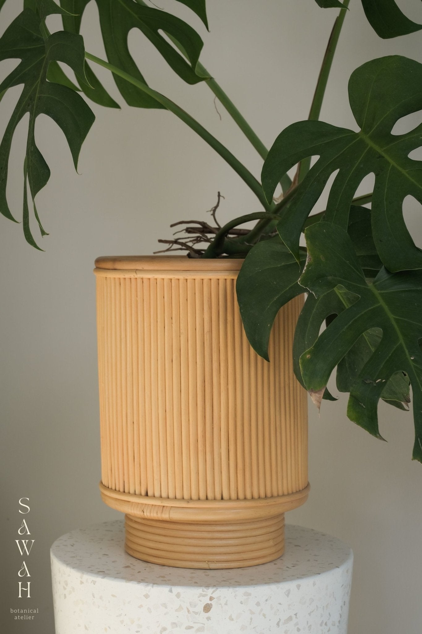 Kasih Mid Century Low Rattan Cane Planter - Lustere Living
