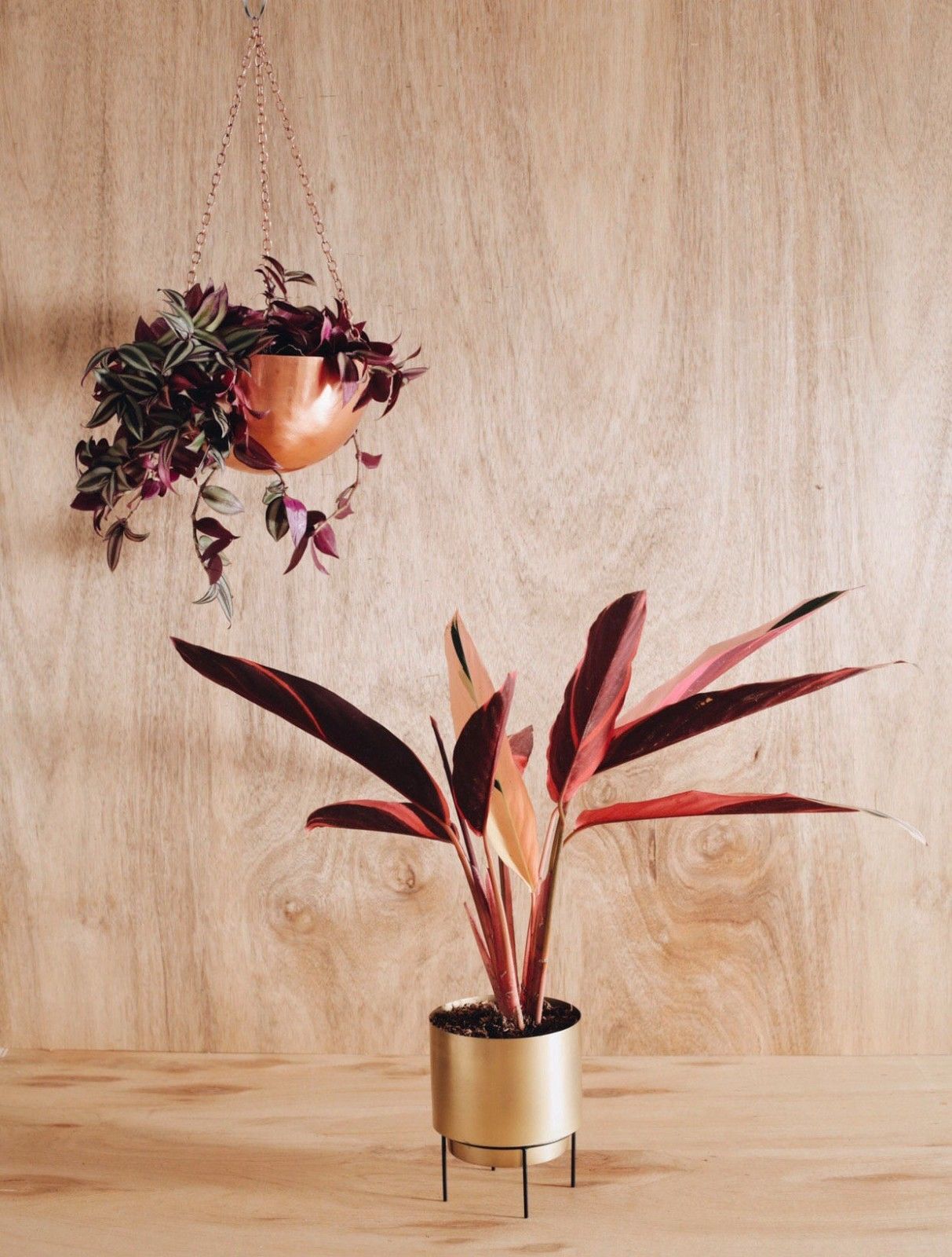 Large Copper Rose Gold Hanging Planter - Lustere Living