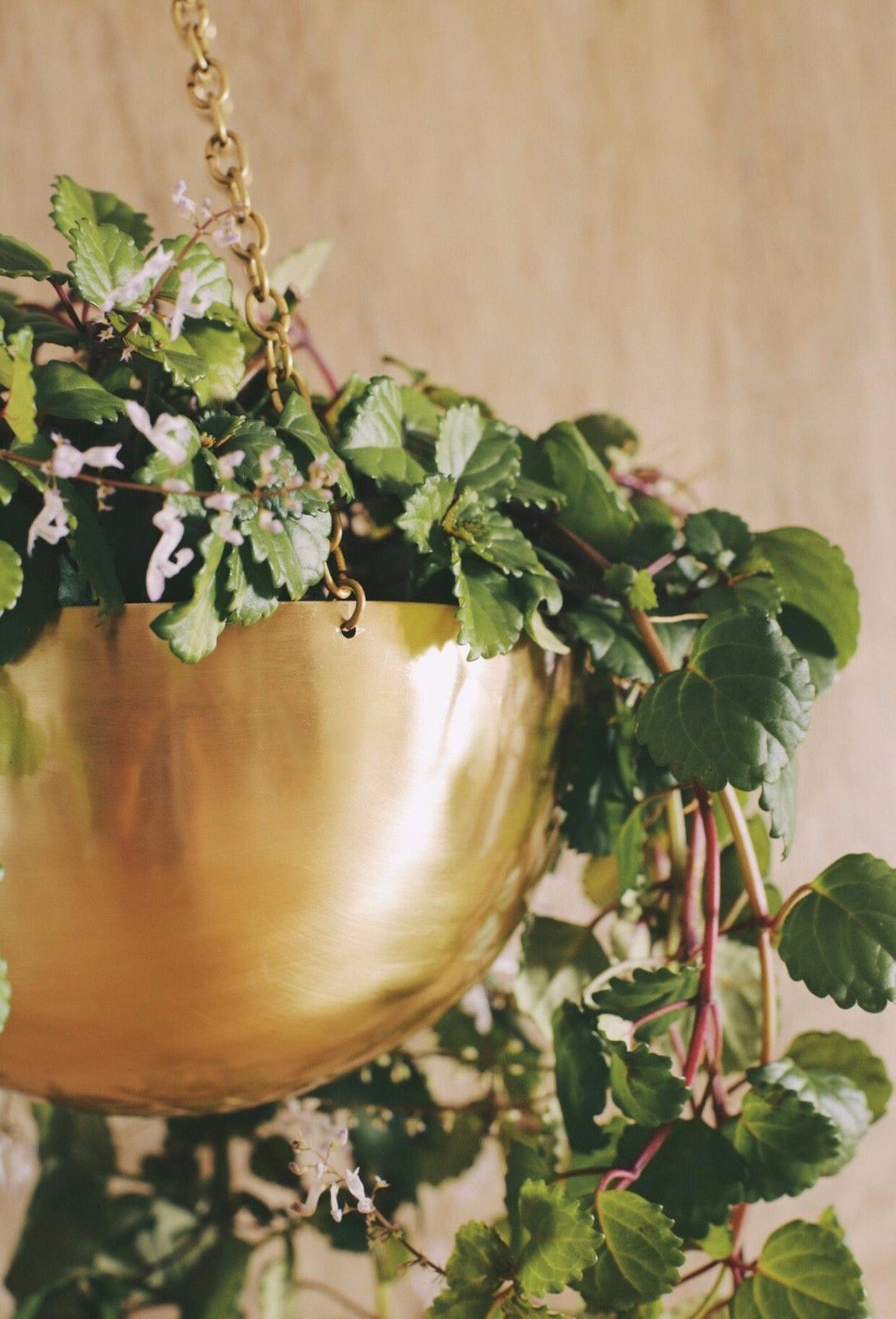 Large Gold Brass Hanging Planter - Lustere Living