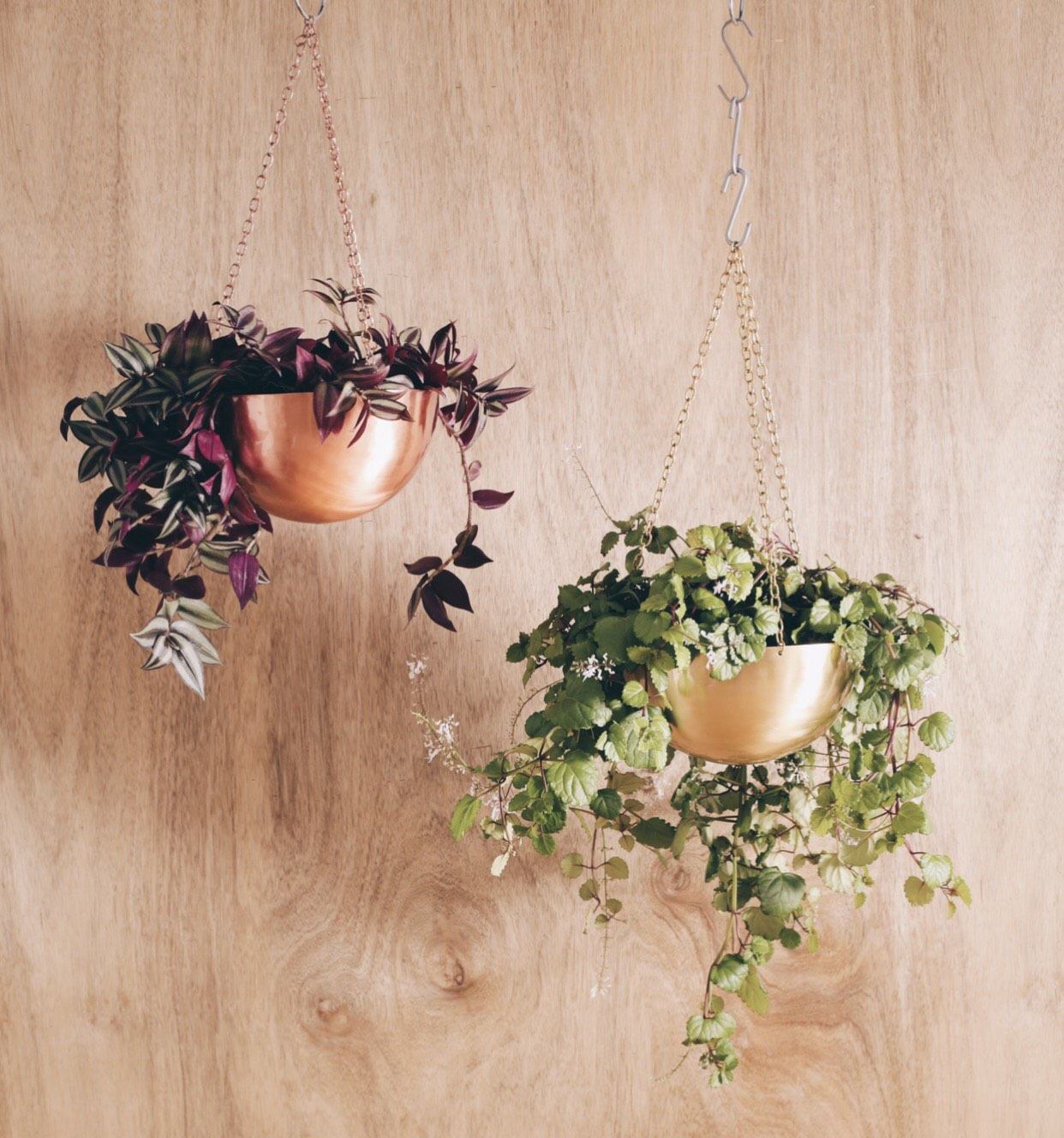 Large Gold Brass Hanging Planter - Lustere Living