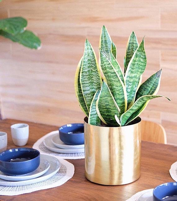 Large Handcrafted Polished Brass Round Table Planter - Lustere Living