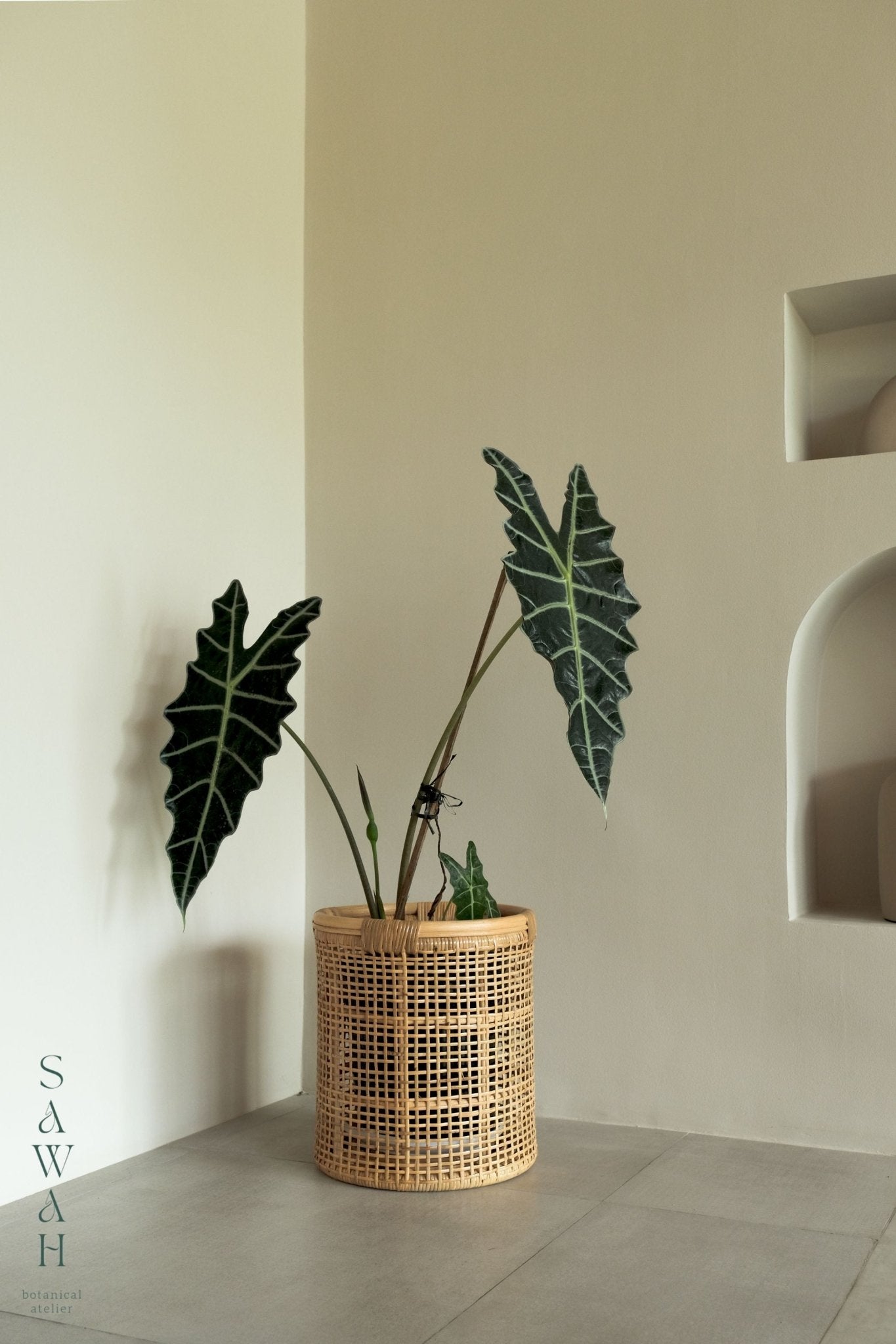 Maya Large Cane Woven Round Rattan Planter Basket - Lustere Living