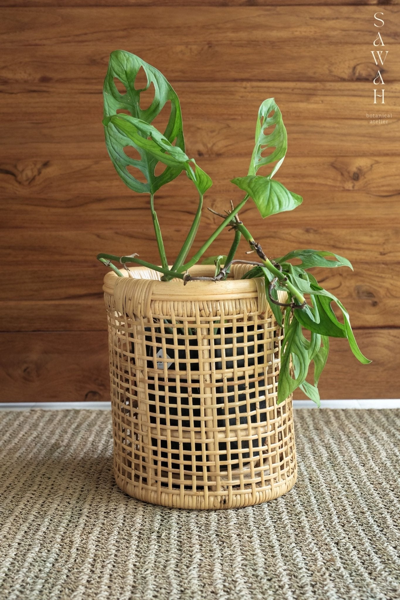 Maya Large Cane Woven Round Rattan Planter Basket - Lustere Living