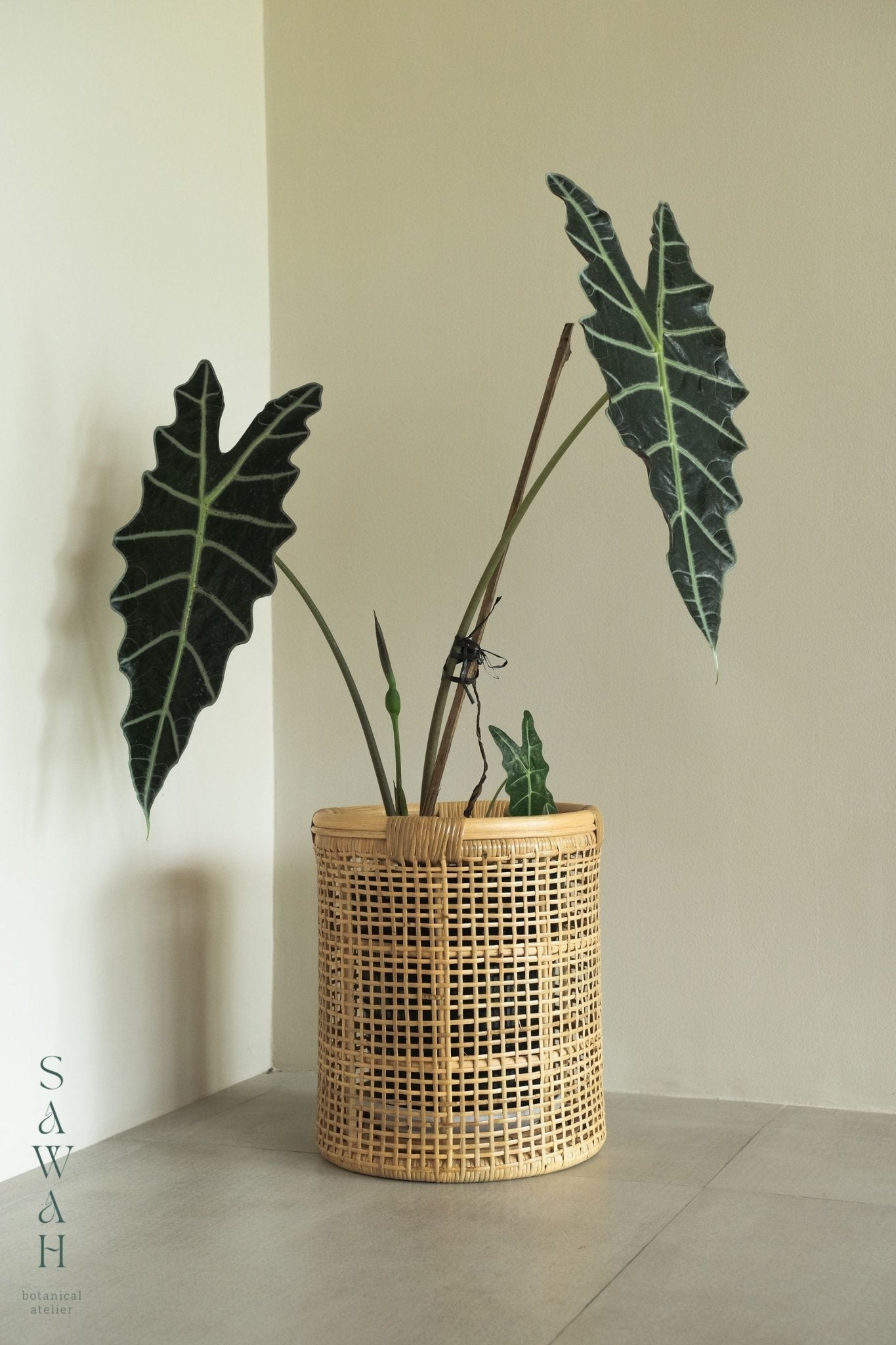 Maya Small Cane Woven Round Rattan Planter Basket - Lustere Living