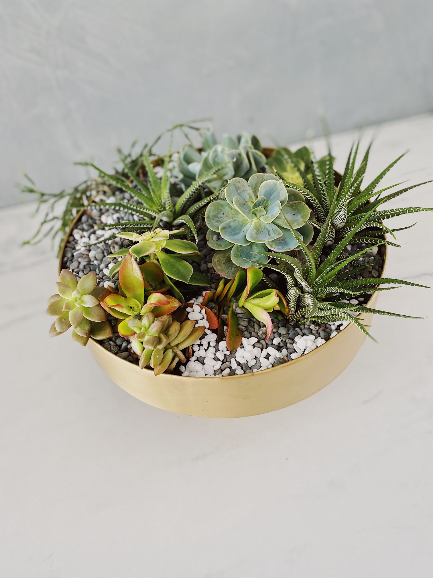 Rola Mid Century Shallow Cylinder Succulent Brass Bowl Vase - Lustere Living