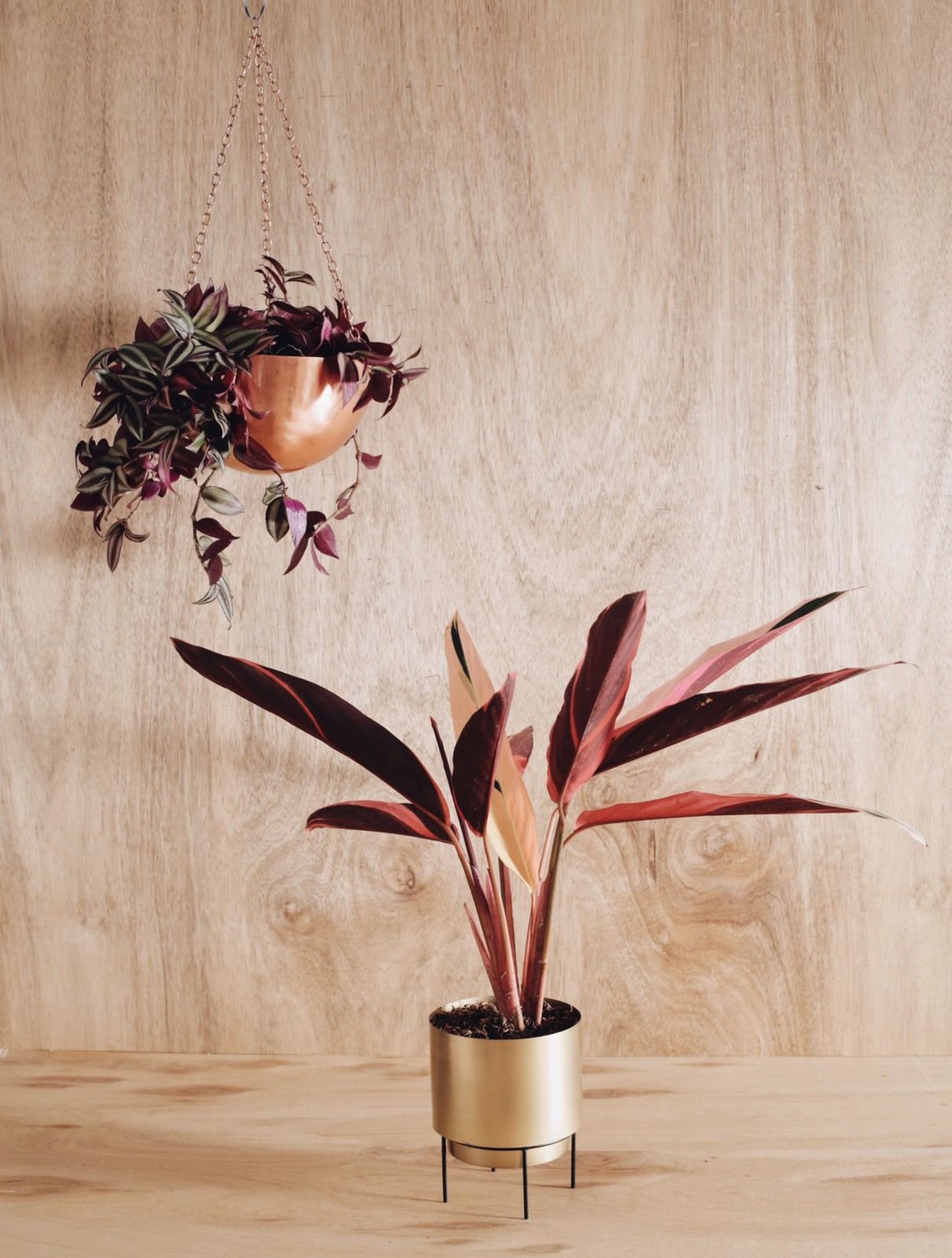 Stand By Me Brass Gold Planter Decor - Lustere Living