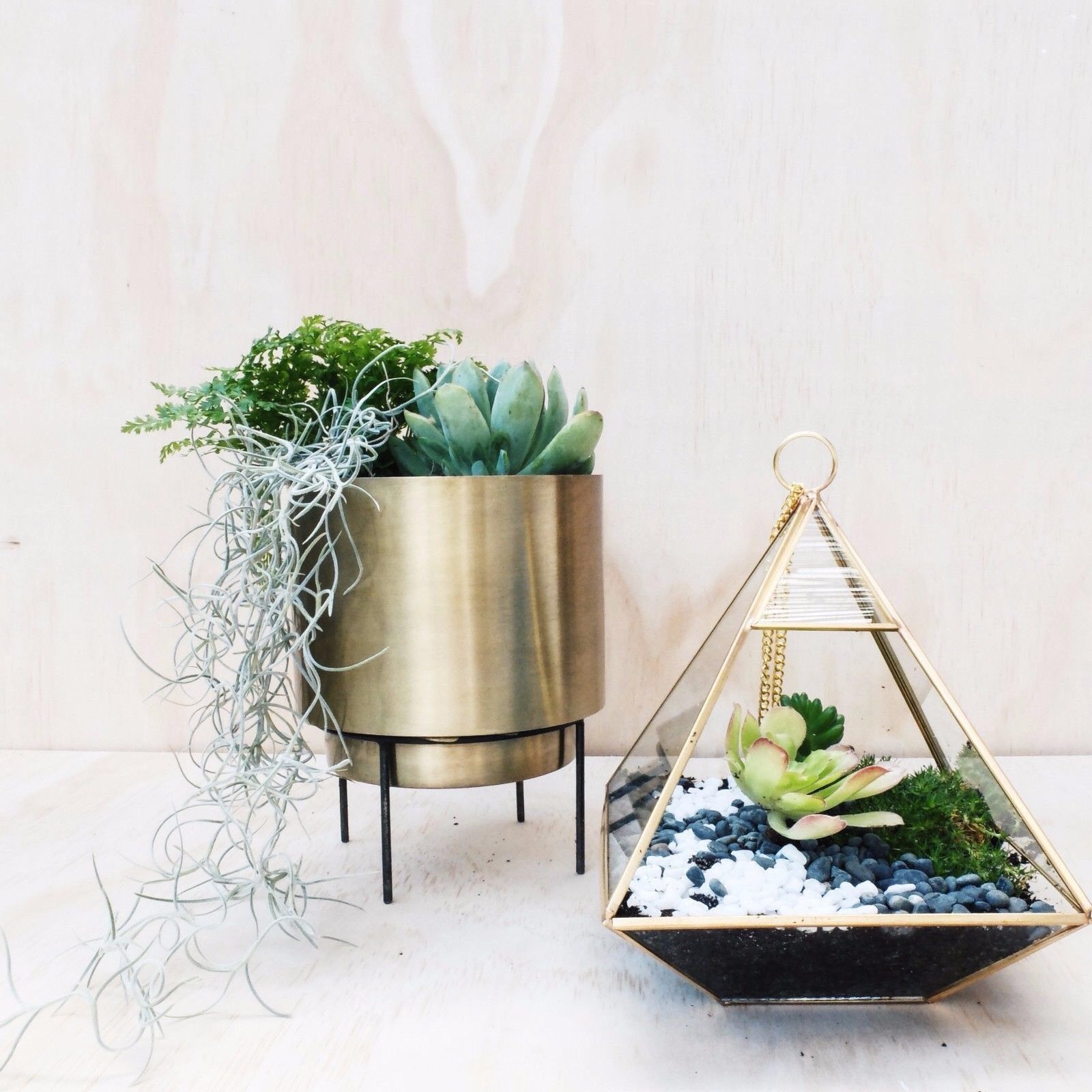 gold succulent planter Test* Stand By Me Brass Gold Planter Decor – Sawah Botanical