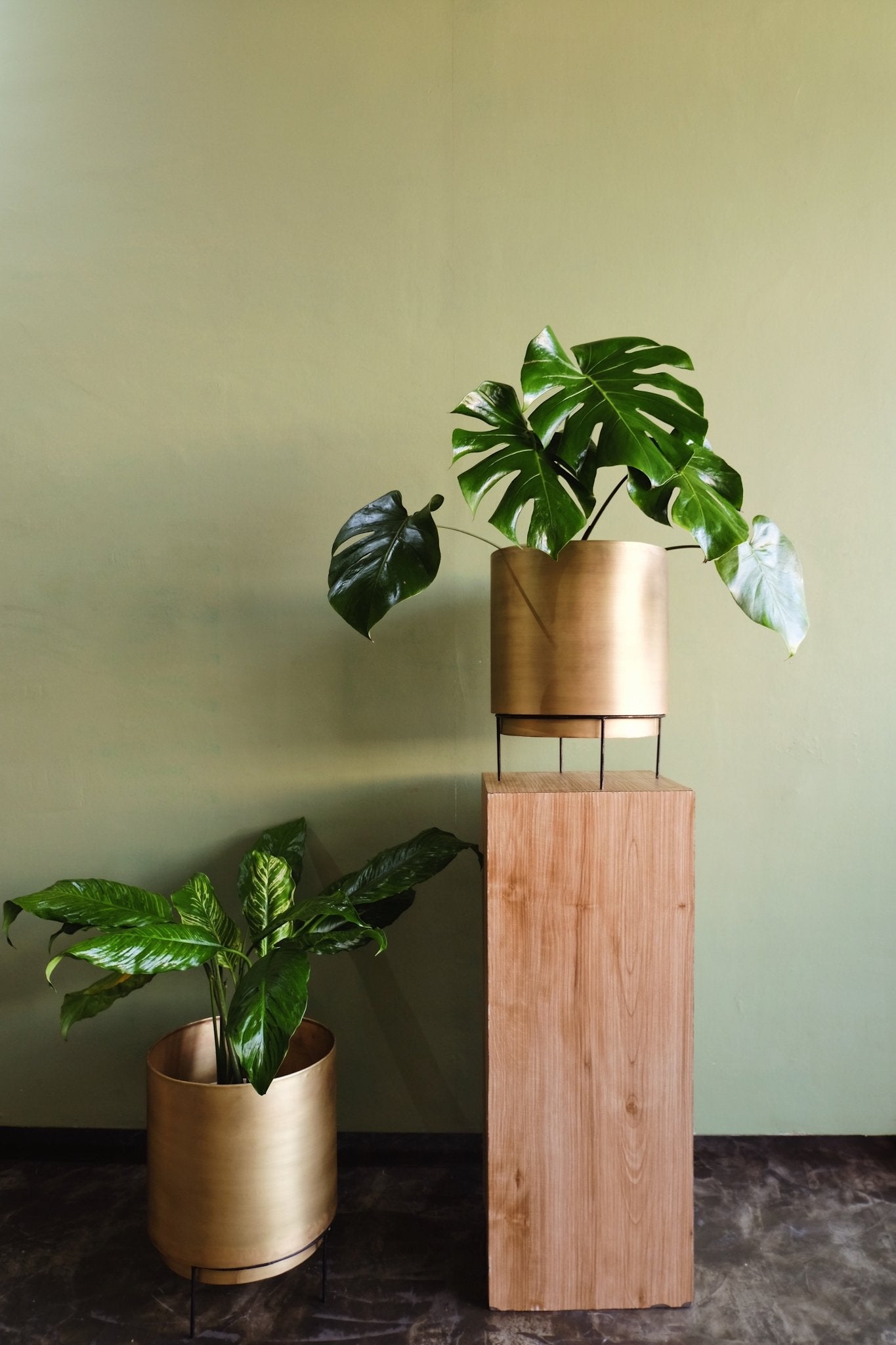 XL Handcrafted Polished Brass Round Floor Planter - Lustere Living